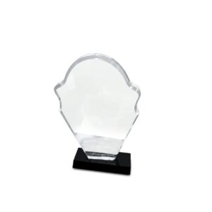 Acrylic Award — custom engraved acrylic award for corporate recognition and awards in Nigeria