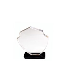 Acrylic Award — custom engraved acrylic award for corporate recognition and awards in Nigeria