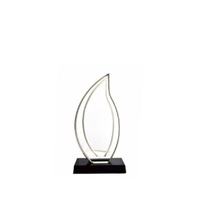 Acrylic Award — custom engraved acrylic award for corporate recognition and awards in Nigeria