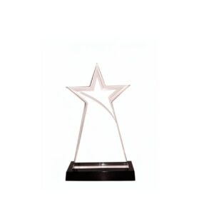 Acrylic Award — custom engraved acrylic award for corporate recognition and awards in Nigeria