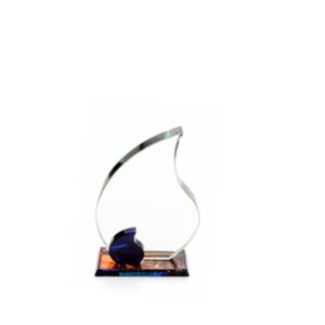 Crystal Award — custom engraved crystal award for corporate recognition and awards in Nigeria
