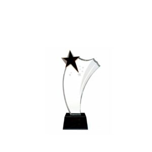 Crystal Award — custom engraved crystal award for corporate recognition and awards in Nigeria