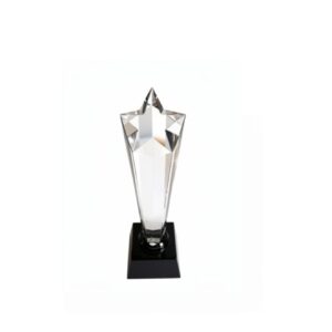 Crystal Award — custom engraved crystal award for corporate recognition and awards in Nigeria