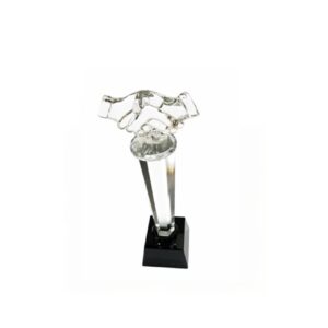 Crystal Award — custom engraved crystal award for corporate recognition and awards in Nigeria