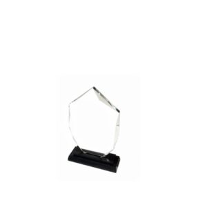 Crystal Award — custom engraved crystal award for corporate recognition and awards in Nigeria