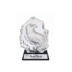Crystal Award — custom engraved crystal award for corporate recognition and awards in Nigeria